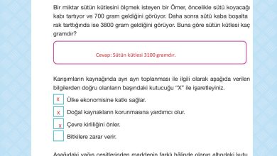 4. Sınıf Pasifik Yayınları Fen Bilimleri Ders Kitabı Sayfa 160 Cevapları