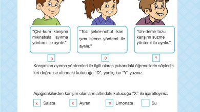 4. Sınıf Pasifik Yayınları Fen Bilimleri Ders Kitabı Sayfa 161 Cevapları