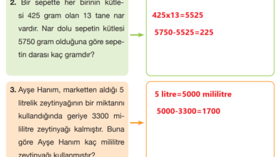 4. Sınıf Pasifik Yayınları Fen Bilimleri Ders Kitabı Sayfa 162 Cevapları