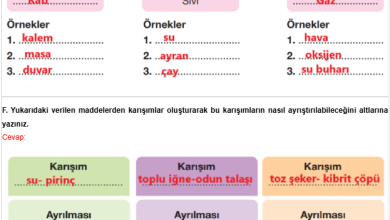 4. Sınıf Pasifik Yayınları Fen Bilimleri Ders Kitabı Sayfa 163 Cevapları