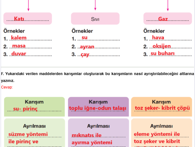 4. Sınıf Pasifik Yayınları Fen Bilimleri Ders Kitabı Sayfa 163 Cevapları