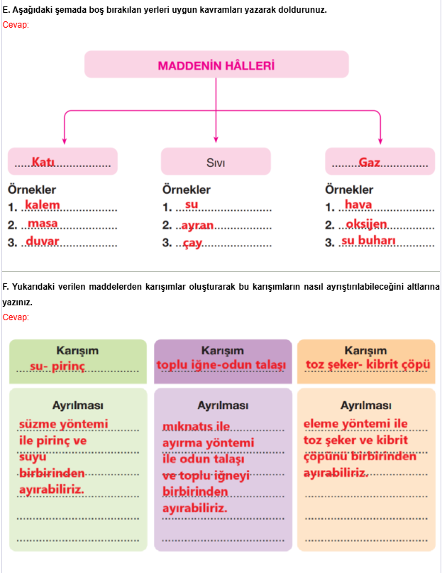 4. Sınıf Pasifik Yayınları Fen Bilimleri Ders Kitabı Sayfa 163 Cevapları