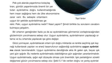 4. Sınıf Pasifik Yayınları Fen Bilimleri Ders Kitabı Sayfa 175 Cevapları