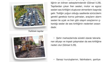 4. Sınıf Pasifik Yayınları Fen Bilimleri Ders Kitabı Sayfa 198 Cevapları