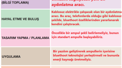 4. Sınıf Pasifik Yayınları Fen Bilimleri Ders Kitabı Sayfa 202 Cevapları