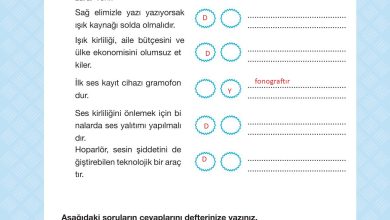 4. Sınıf Pasifik Yayınları Fen Bilimleri Ders Kitabı Sayfa 204 Cevapları