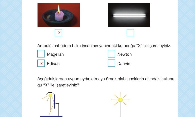 4. Sınıf Pasifik Yayınları Fen Bilimleri Ders Kitabı Sayfa 206 Cevapları