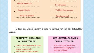 4. Sınıf Pasifik Yayınları Fen Bilimleri Ders Kitabı Sayfa 209 Cevapları