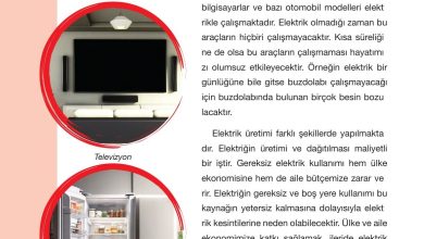 4. Sınıf Pasifik Yayınları Fen Bilimleri Ders Kitabı Sayfa 214 Cevapları