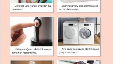 4. Sınıf Pasifik Yayınları Fen Bilimleri Ders Kitabı Sayfa 215 Cevapları