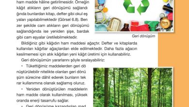 4. Sınıf Pasifik Yayınları Fen Bilimleri Ders Kitabı Sayfa 219 Cevapları