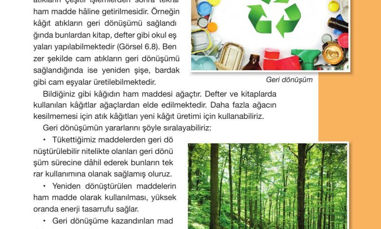 4. Sınıf Pasifik Yayınları Fen Bilimleri Ders Kitabı Sayfa 219 Cevapları