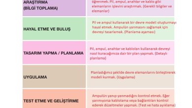 4. Sınıf Pasifik Yayınları Fen Bilimleri Ders Kitabı Sayfa 222 Cevapları