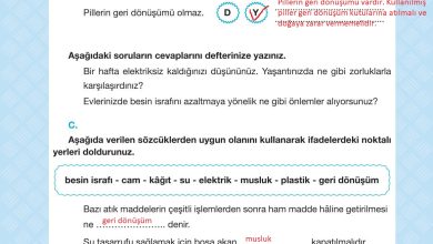 4. Sınıf Pasifik Yayınları Fen Bilimleri Ders Kitabı Sayfa 224 Cevapları