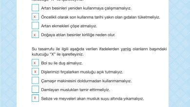 4. Sınıf Pasifik Yayınları Fen Bilimleri Ders Kitabı Sayfa 225 Cevapları