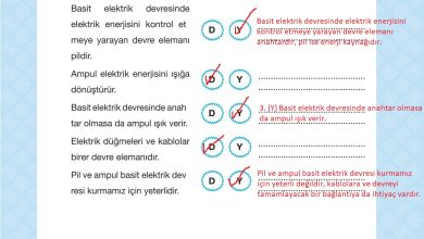 4. Sınıf Pasifik Yayınları Fen Bilimleri Ders Kitabı Sayfa 241 Cevapları