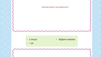 4. Sınıf Pasifik Yayınları Fen Bilimleri Ders Kitabı Sayfa 244 Cevapları