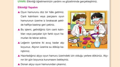 4. Sınıf Pasifik Yayınları Fen Bilimleri Ders Kitabı Sayfa 36 Cevapları