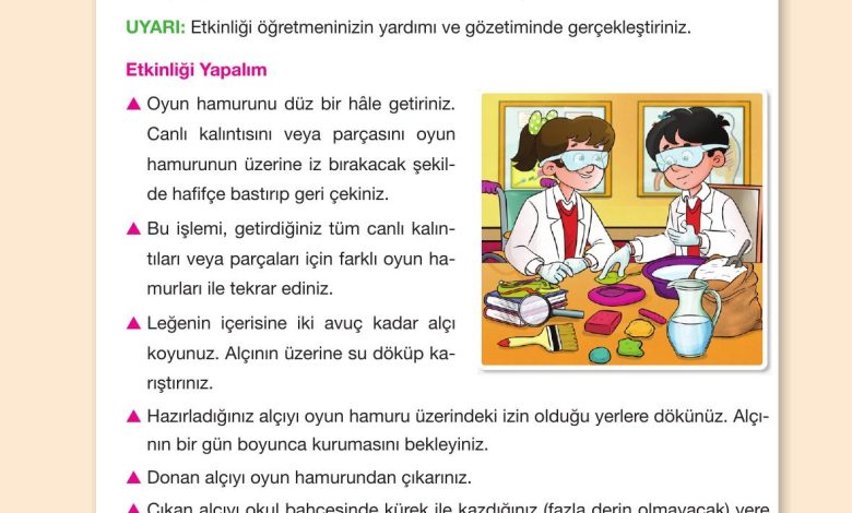 4. Sınıf Pasifik Yayınları Fen Bilimleri Ders Kitabı Sayfa 36 Cevapları