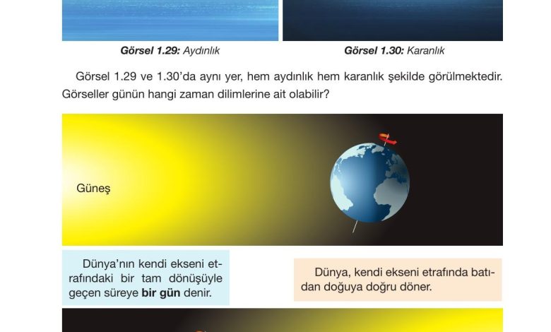 4. Sınıf Pasifik Yayınları Fen Bilimleri Ders Kitabı Sayfa 42 Cevapları