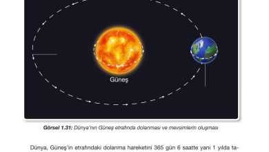 4. Sınıf Pasifik Yayınları Fen Bilimleri Ders Kitabı Sayfa 45 Cevapları