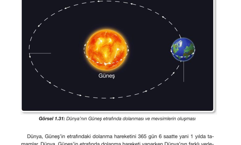 4. Sınıf Pasifik Yayınları Fen Bilimleri Ders Kitabı Sayfa 45 Cevapları