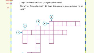 4. Sınıf Pasifik Yayınları Fen Bilimleri Ders Kitabı Sayfa 48 Cevapları