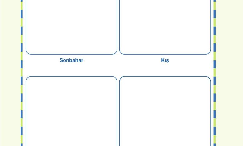 4. Sınıf Pasifik Yayınları Fen Bilimleri Ders Kitabı Sayfa 49 Cevapları