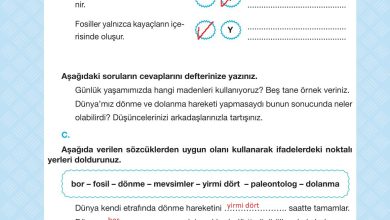 4. Sınıf Pasifik Yayınları Fen Bilimleri Ders Kitabı Sayfa 52 Cevapları