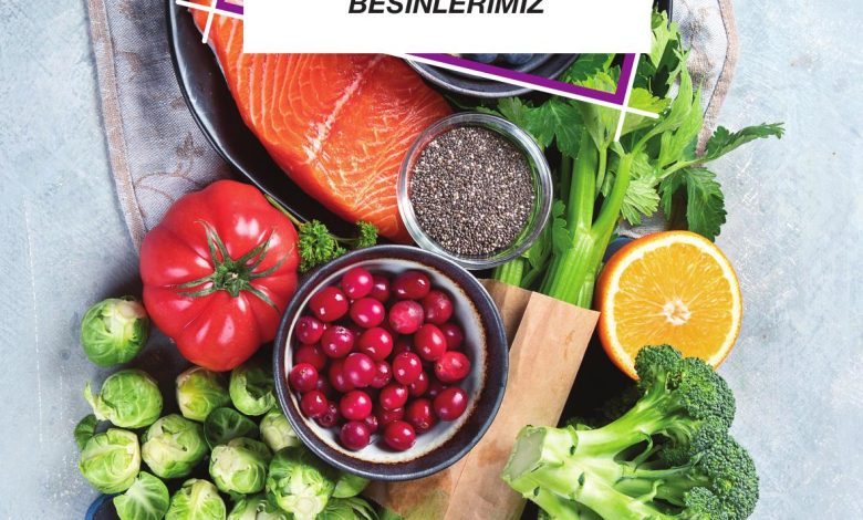 4. Sınıf Pasifik Yayınları Fen Bilimleri Ders Kitabı Sayfa 56 Cevapları