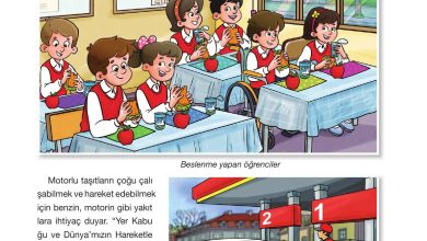 4. Sınıf Pasifik Yayınları Fen Bilimleri Ders Kitabı Sayfa 59 Cevapları