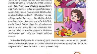 4. Sınıf Pasifik Yayınları Fen Bilimleri Ders Kitabı Sayfa 65 Cevapları