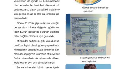 4. Sınıf Pasifik Yayınları Fen Bilimleri Ders Kitabı Sayfa 66 Cevapları