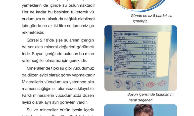 4. Sınıf Pasifik Yayınları Fen Bilimleri Ders Kitabı Sayfa 66 Cevapları