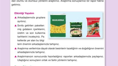 4. Sınıf Pasifik Yayınları Fen Bilimleri Ders Kitabı Sayfa 67 Cevapları