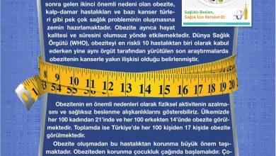 4. Sınıf Pasifik Yayınları Fen Bilimleri Ders Kitabı Sayfa 72 Cevapları