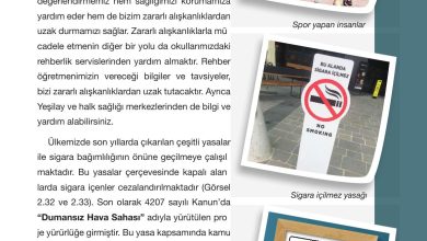 4. Sınıf Pasifik Yayınları Fen Bilimleri Ders Kitabı Sayfa 75 Cevapları