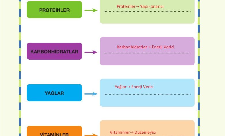 4. Sınıf Pasifik Yayınları Fen Bilimleri Ders Kitabı Sayfa 79 Cevapları