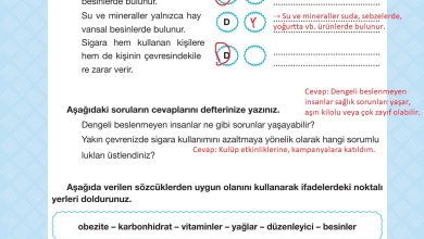 4. Sınıf Pasifik Yayınları Fen Bilimleri Ders Kitabı Sayfa 86 Cevapları