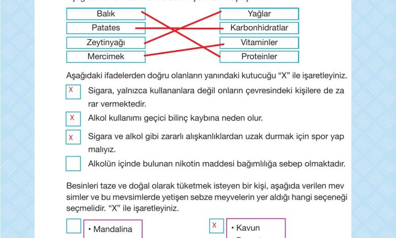 4. Sınıf Pasifik Yayınları Fen Bilimleri Ders Kitabı Sayfa 87 Cevapları