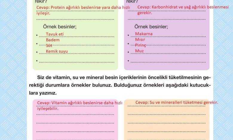 4. Sınıf Pasifik Yayınları Fen Bilimleri Ders Kitabı Sayfa 88 Cevapları