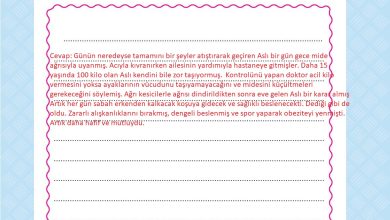 4. Sınıf Pasifik Yayınları Fen Bilimleri Ders Kitabı Sayfa 89 Cevapları