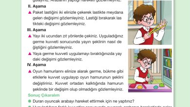 4. Sınıf Pasifik Yayınları Fen Bilimleri Ders Kitabı Sayfa 94 Cevapları