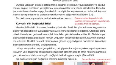 4. Sınıf Pasifik Yayınları Fen Bilimleri Ders Kitabı Sayfa 96 Cevapları