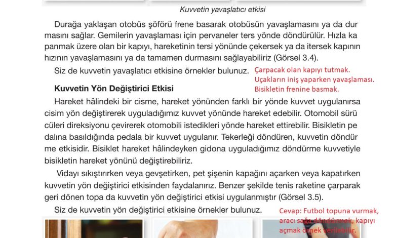 4. Sınıf Pasifik Yayınları Fen Bilimleri Ders Kitabı Sayfa 96 Cevapları