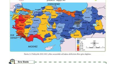 5. Sınıf Meb Yayınları Afet Bilinci Ders Kitabı Sayfa 106 Cevapları