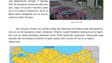 5. Sınıf Meb Yayınları Afet Bilinci Ders Kitabı Sayfa 113 Cevapları