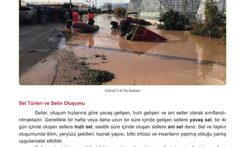 5. Sınıf Meb Yayınları Afet Bilinci Ders Kitabı Sayfa 114 Cevapları