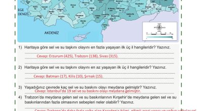 5. Sınıf Meb Yayınları Afet Bilinci Ders Kitabı Sayfa 118 Cevapları