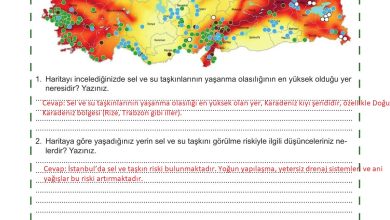 5. Sınıf Meb Yayınları Afet Bilinci Ders Kitabı Sayfa 120 Cevapları